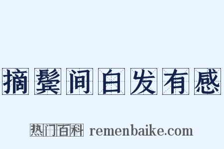 摘鬓间白发有感是什么意思的图片